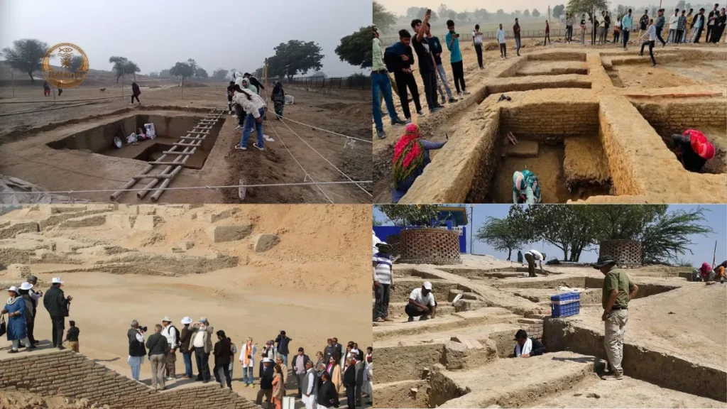 Rakhigarhi Project